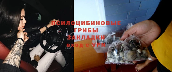 круглые Тавда