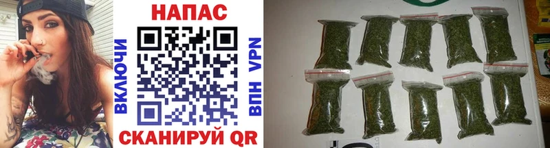 Конопля Bruce Banner  Купить где  Калининград